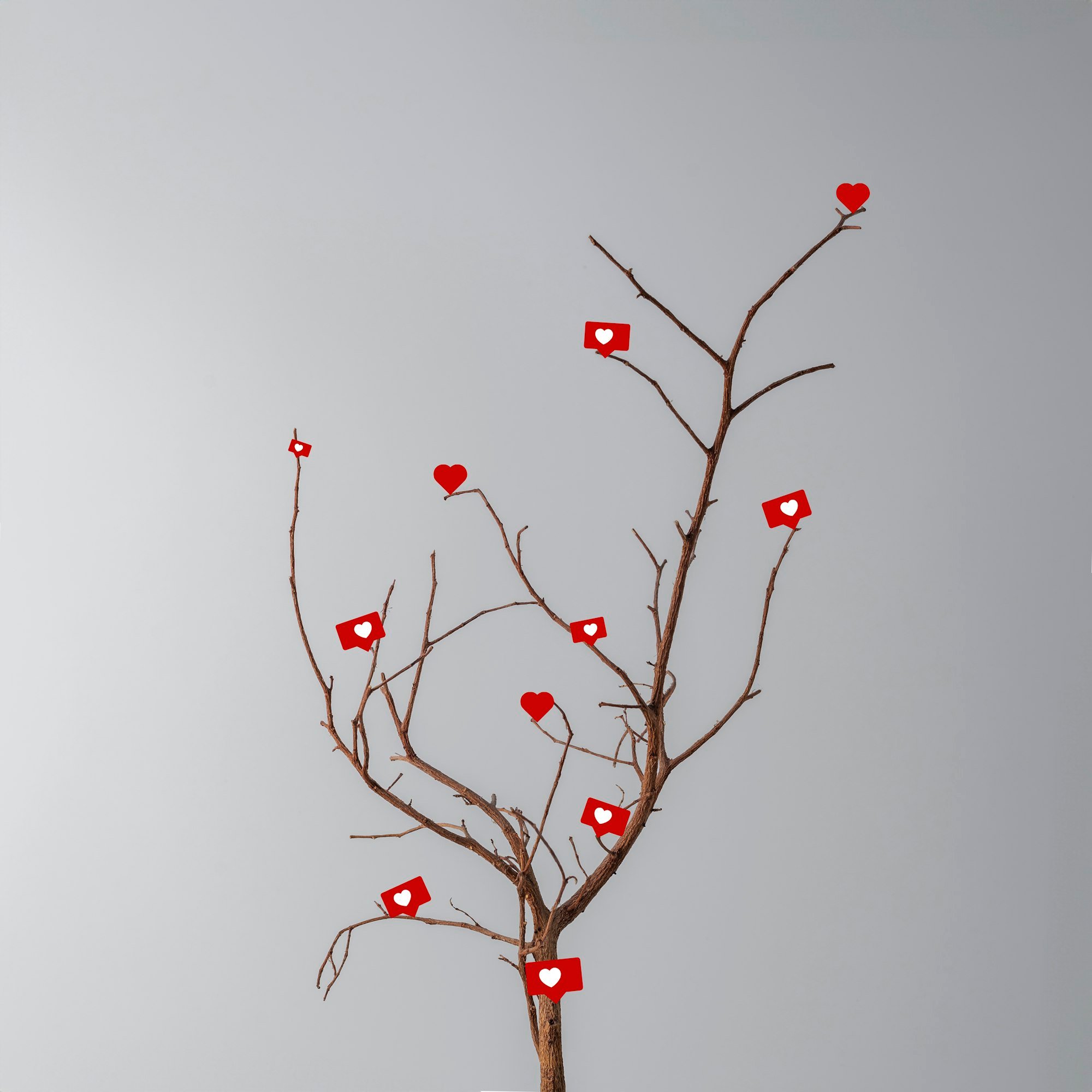 Social media concept. Dry tree with likes on gray background.